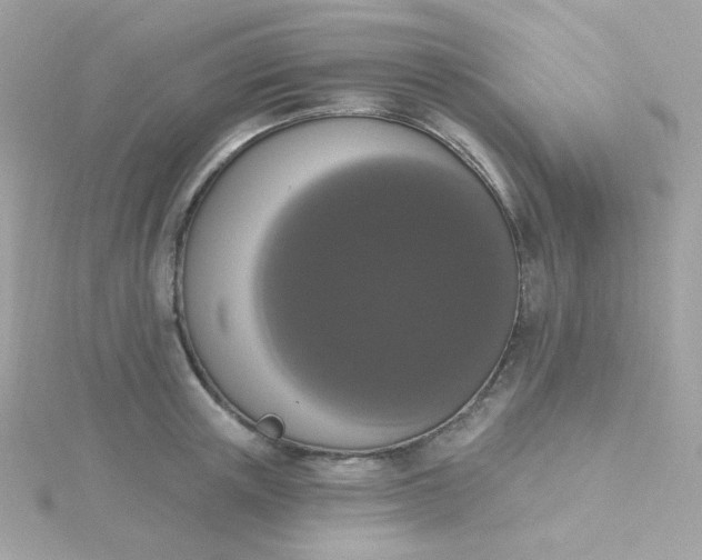 X0000115710851200911251854