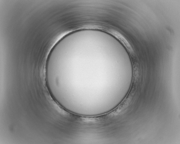 X0000115710852200911251854