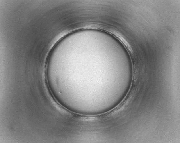 X0000115710853200911251854