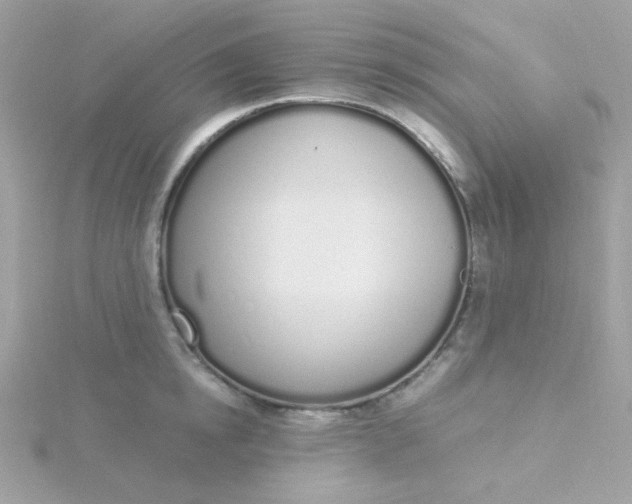 X0000115710854200911251854