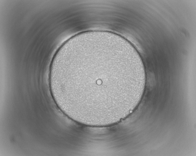 X0000115710856200911251854