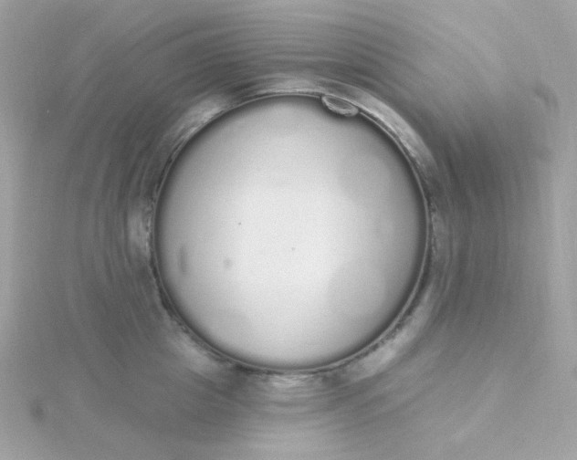 X0000115710857200911251855