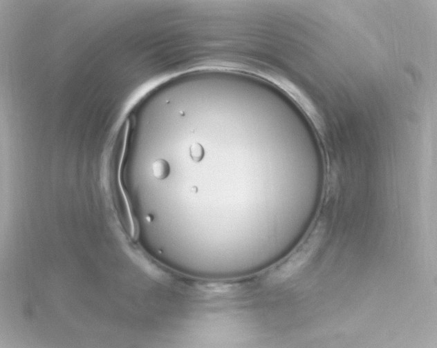 X0000115710862200911251855