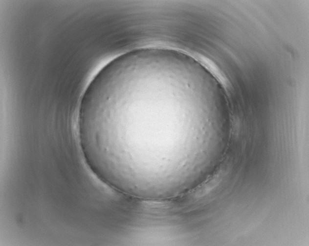 X0000115710863200911251855