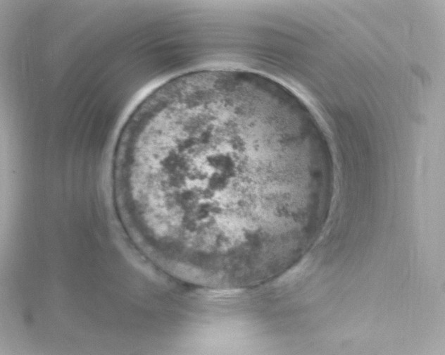 X0000115710864200911251855