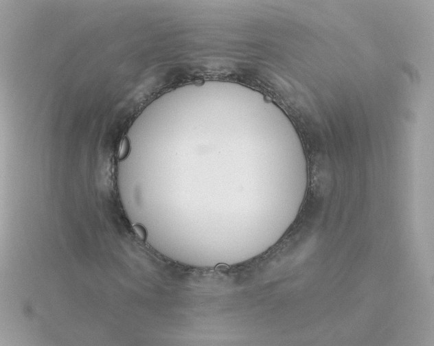 X0000115710866200911251854