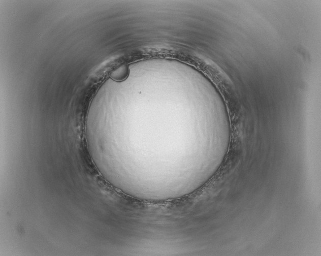 X0000115710870200911251854