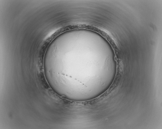 X0000115710871200911251854