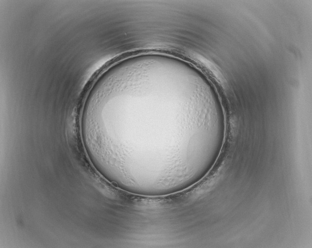 X0000115710875200911251854