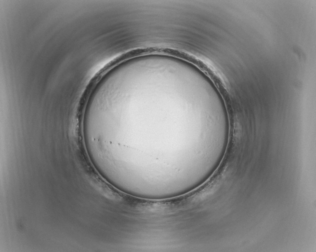 X0000115710879200911251854