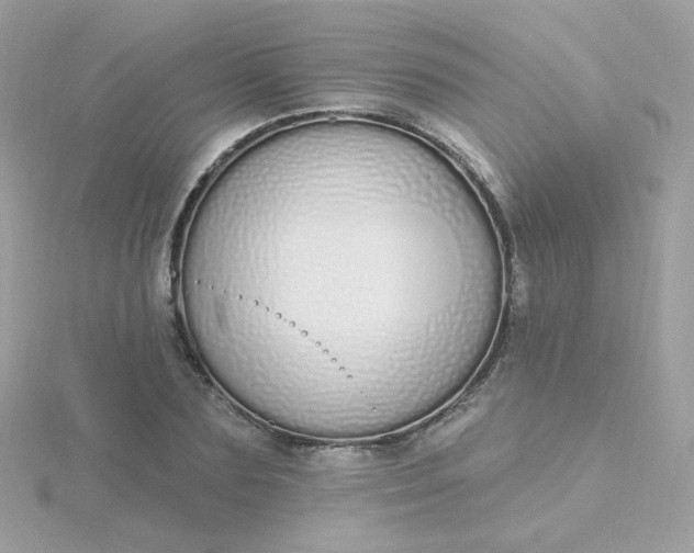 X0000115710883200911251854