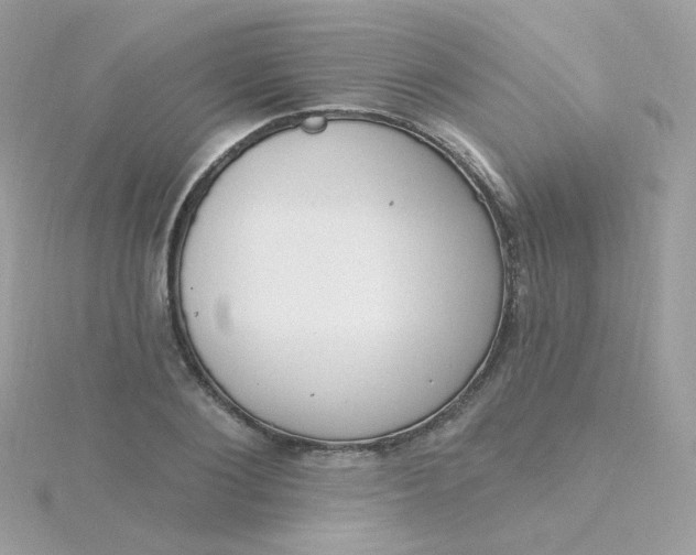 X0000115710884200911251854