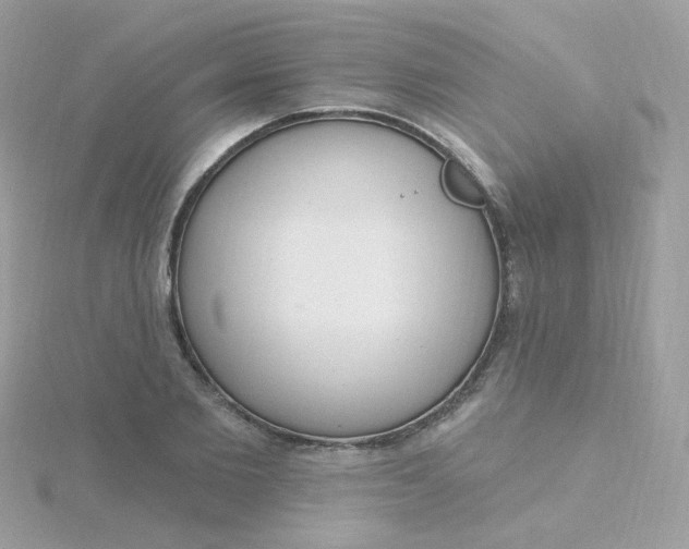 X0000115710885200911251854