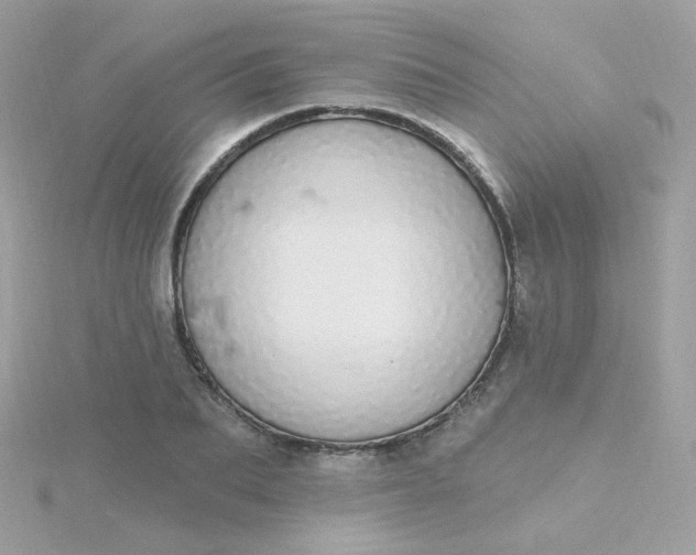 X0000115710887200911251854