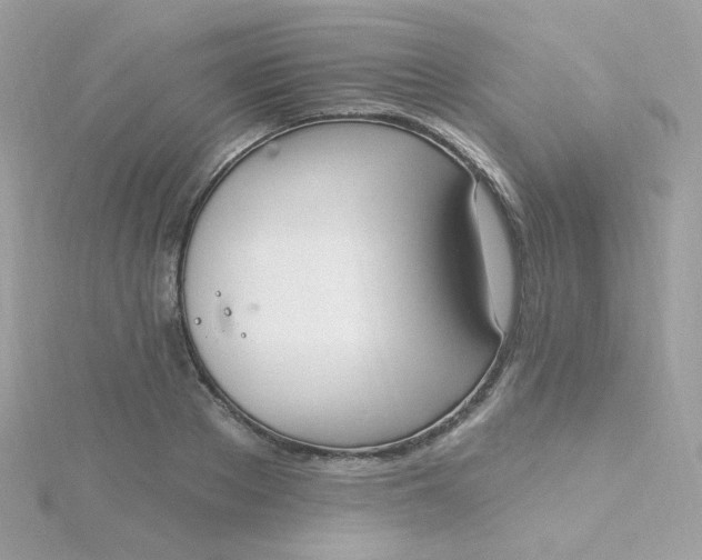 X0000115710889200911251854