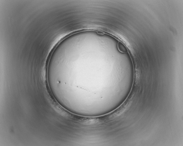 X0000115710891200911251853