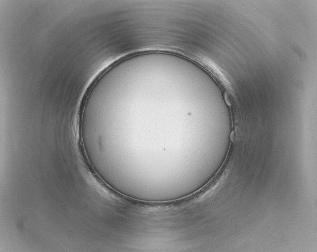 X0000115710892200911251853