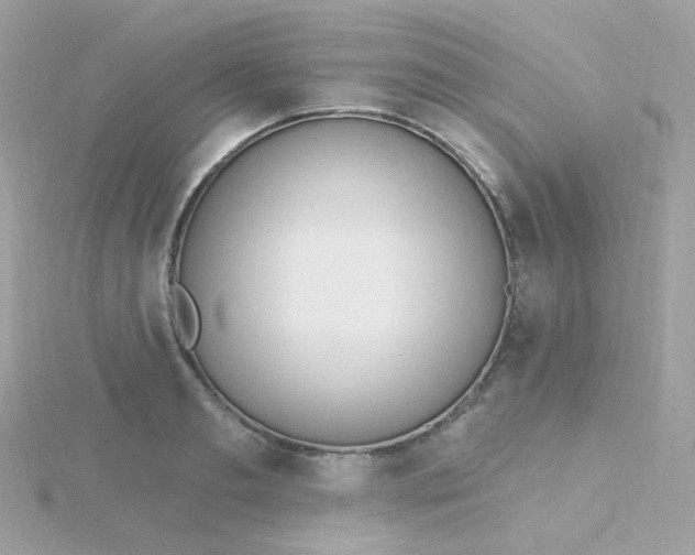 X0000115710893200911251853