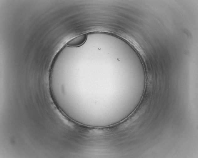 X0000115710898200911251853