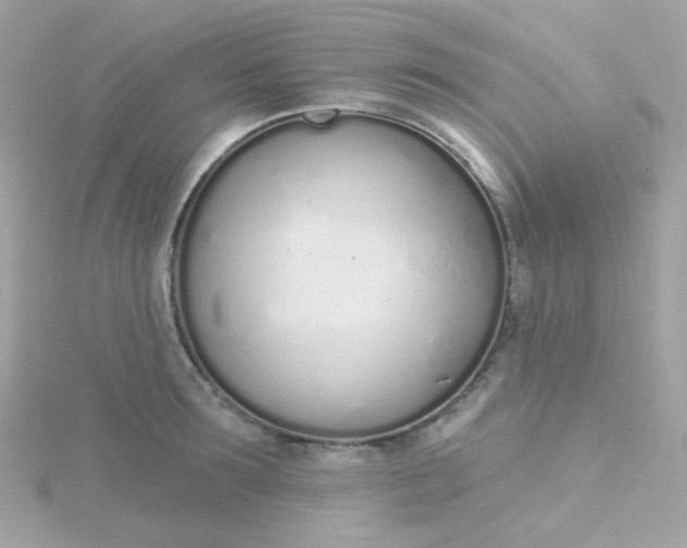 X0000115710899200911251853