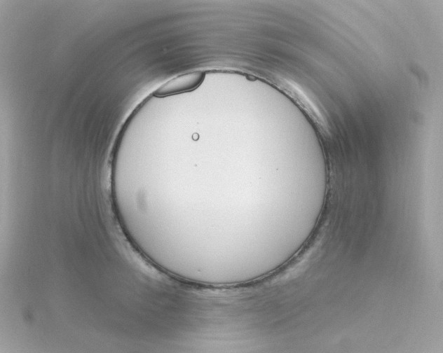 X0000115710900200911251853