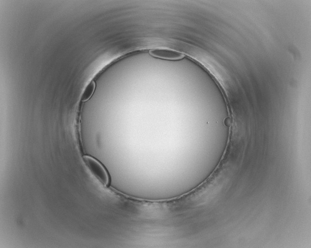 X0000115710901200911251853