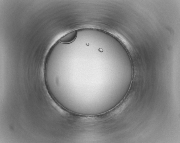 X0000115710902200911251853