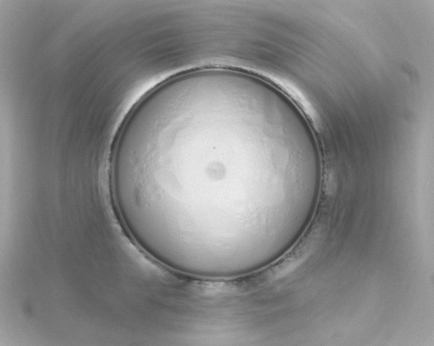 X0000115710903200911251853