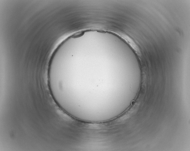 X0000115710904200911251853