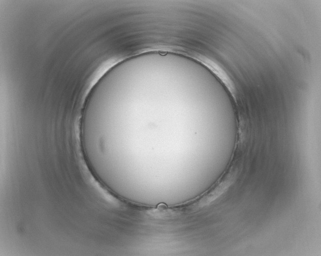 X0000115710906200911251853