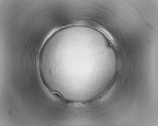 X0000115710907200911251853