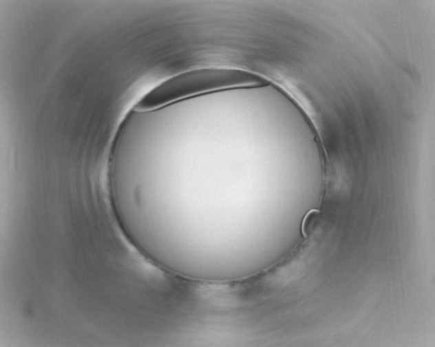 X0000115710909200911251853