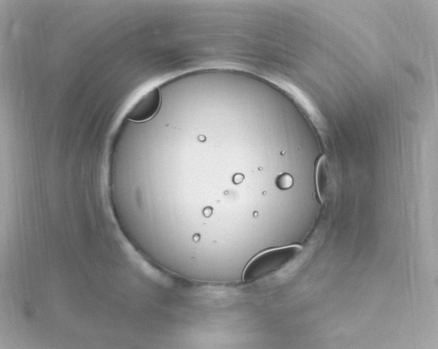 X0000115710910200911251853