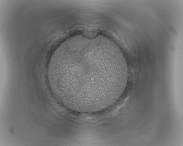 X0000115710913200911251853