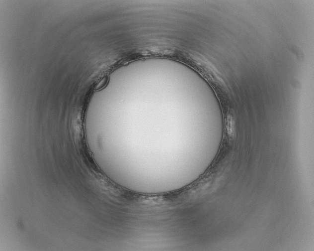 X0000115710915200911251853