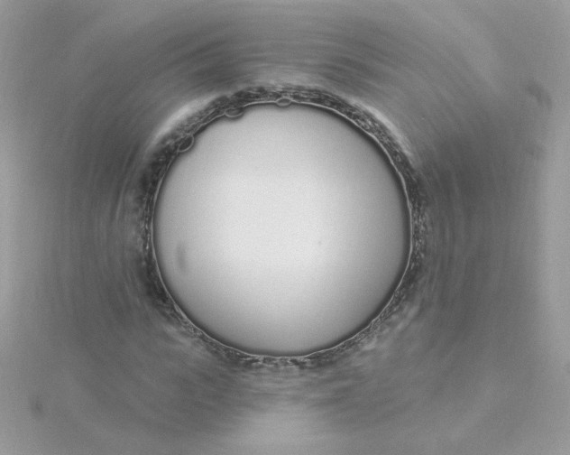 X0000115710919200911251853