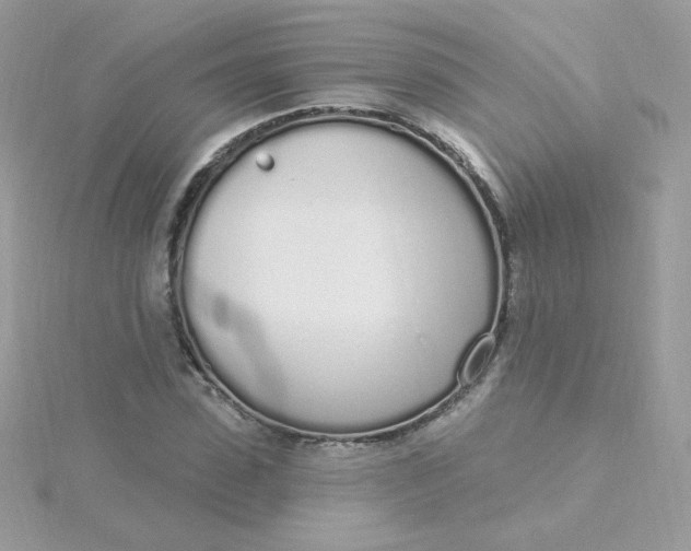 X0000115710923200911251853