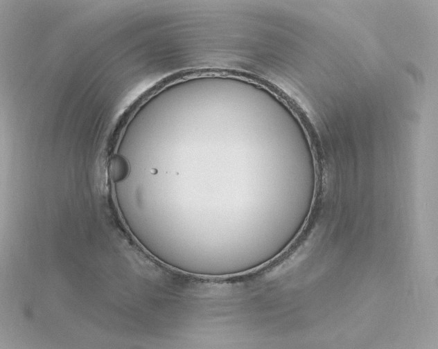 X0000115710925200911251853