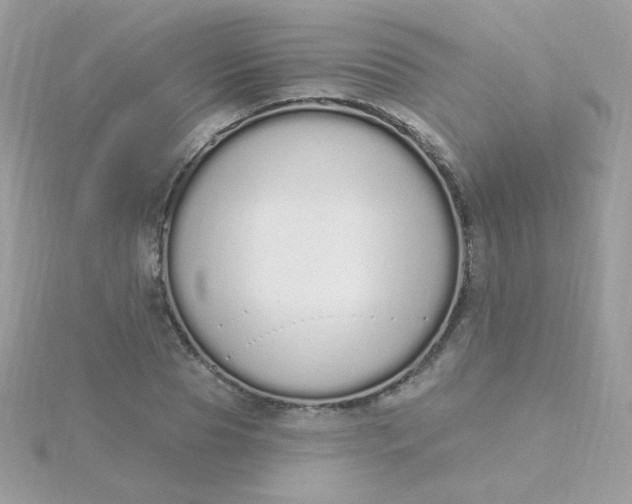 X0000115710929200911251853