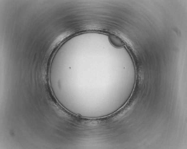 X0000115710930200911251853