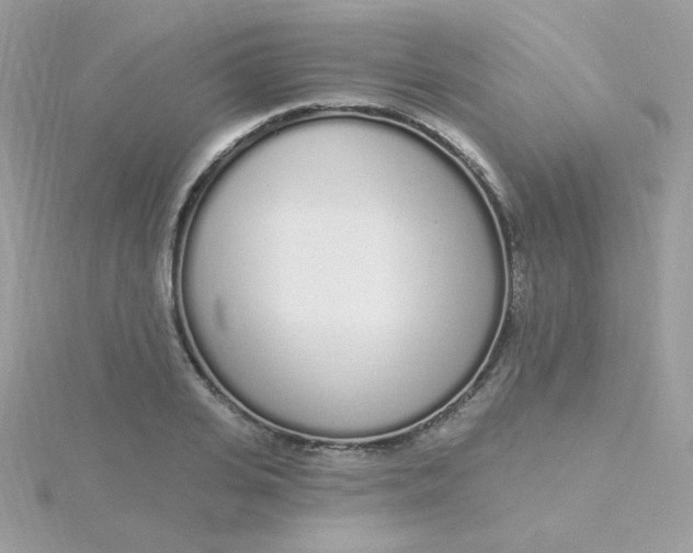 X0000115710935200911251853