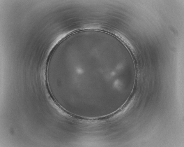 X0000115710941200911251853