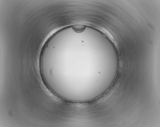 X0000115710947200911251853