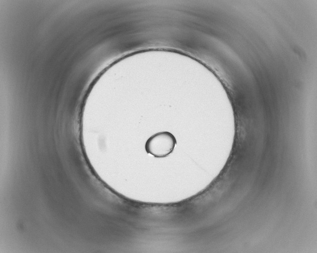 X0000115710950200911251853