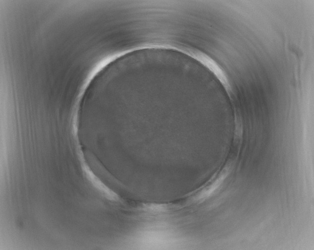 X0000115710958200911251853