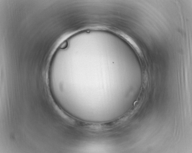 X0000115710959200911251853