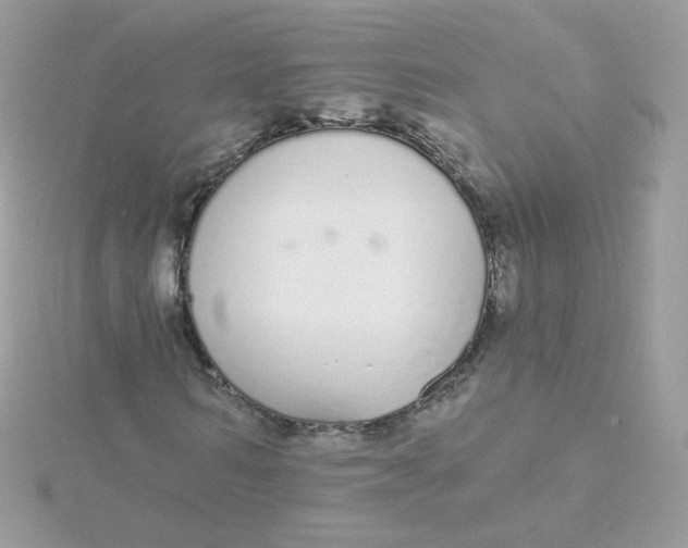 X0000115710962200911251853