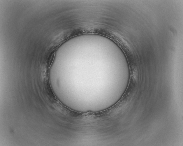 X0000115710964200911251853