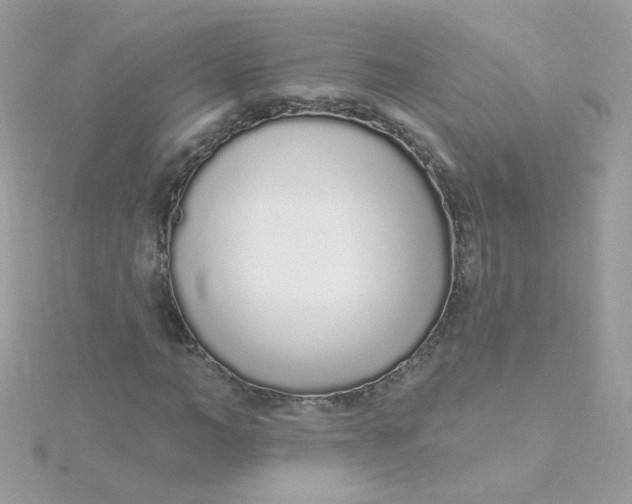 X0000115710966200911251853