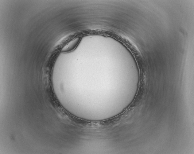 X0000115710968200911251853